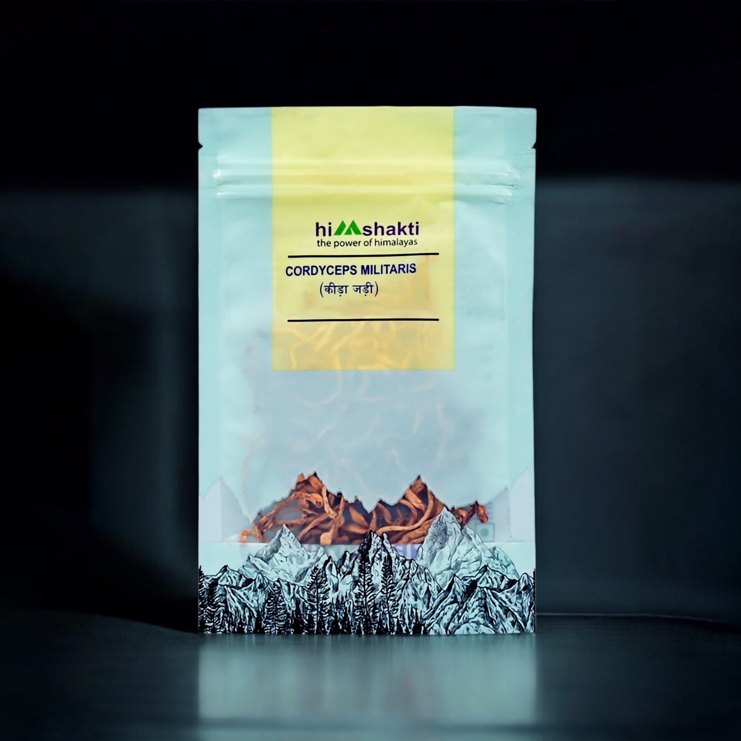 Cordyceps Mushroom