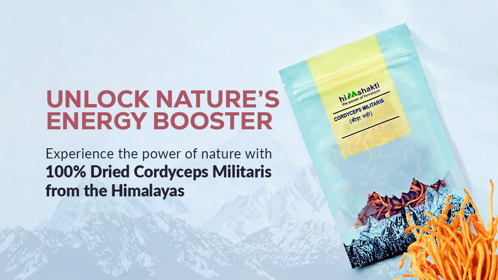 Cordyceps Mushroom