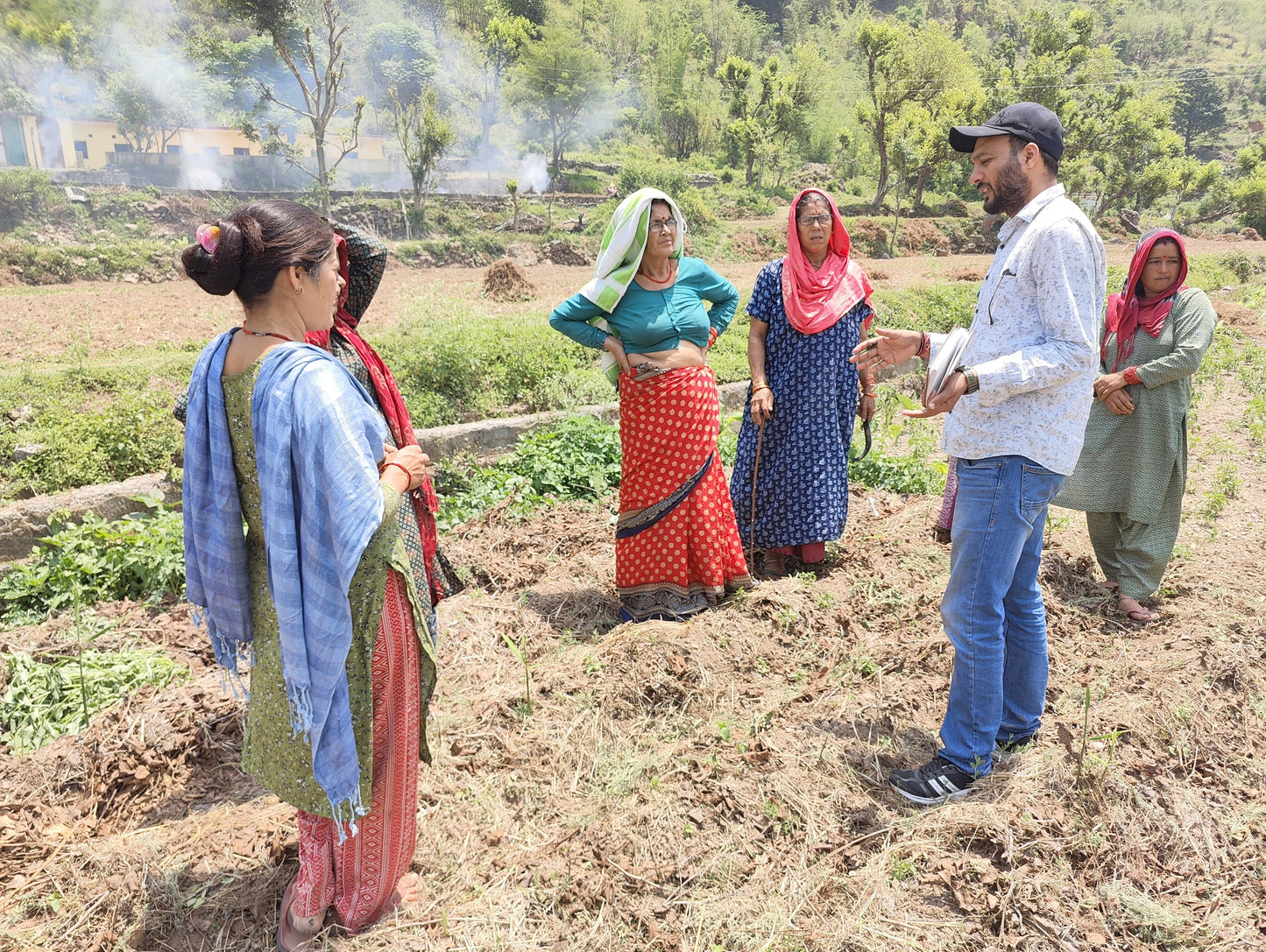 Himalayan turmeric