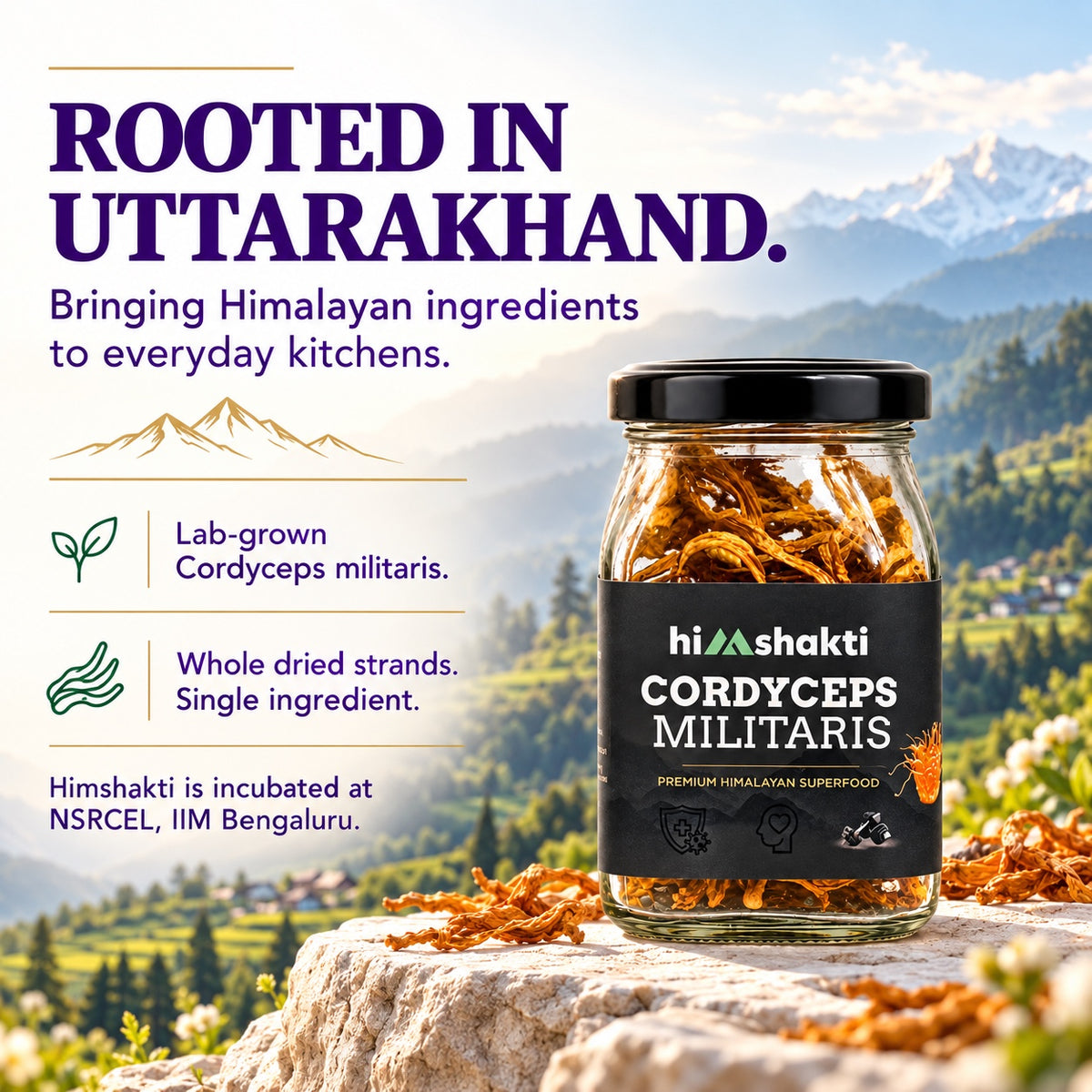 Himshakti Cordyceps Militaris rooted in Uttarakhand