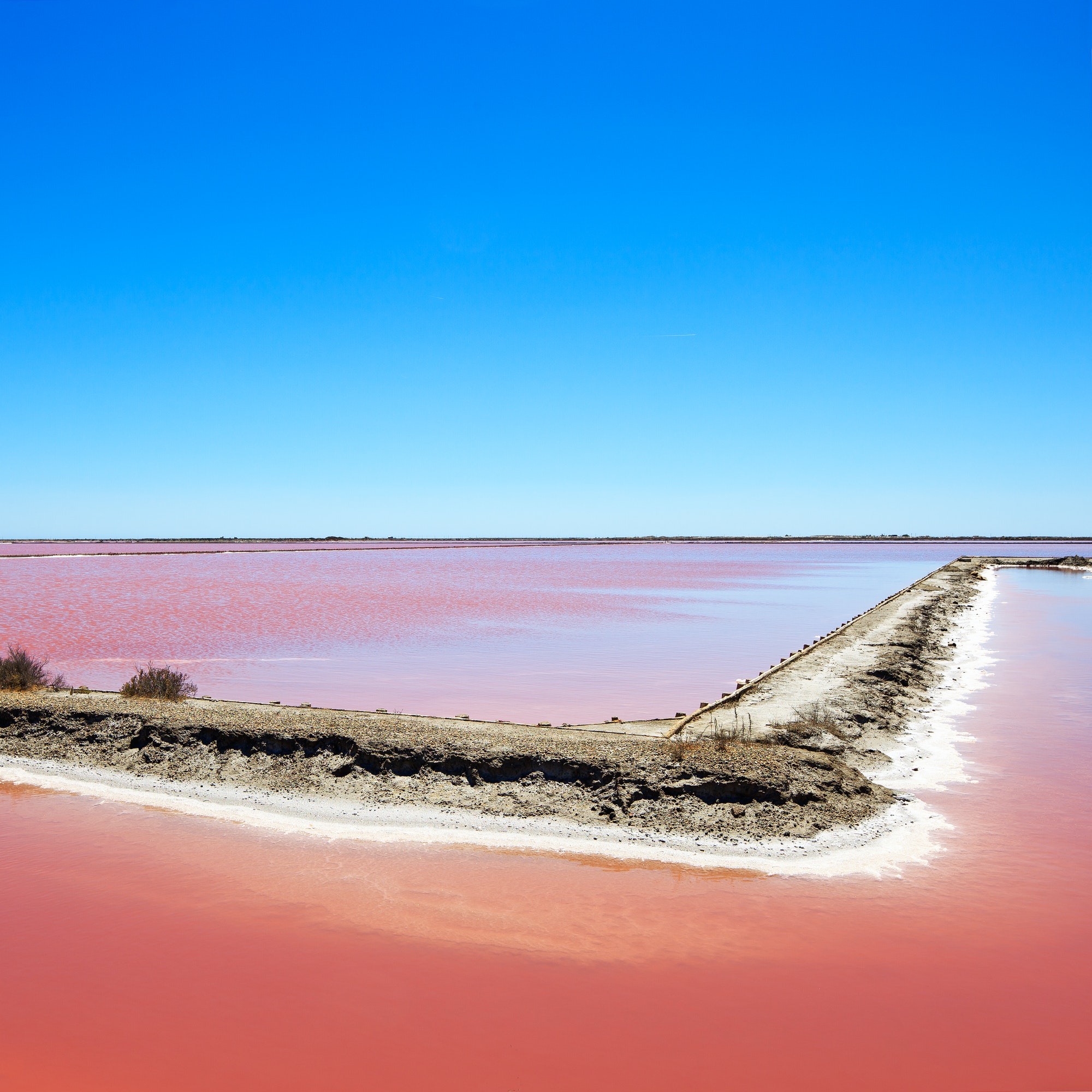 pink-salt-lake